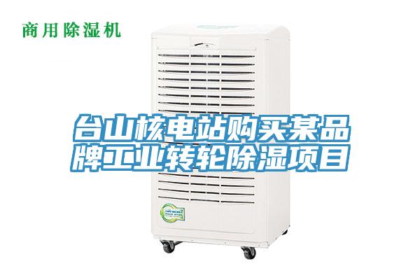 台山核电站购买某品牌工业转轮除湿项目
