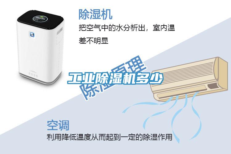 工业除湿机多少