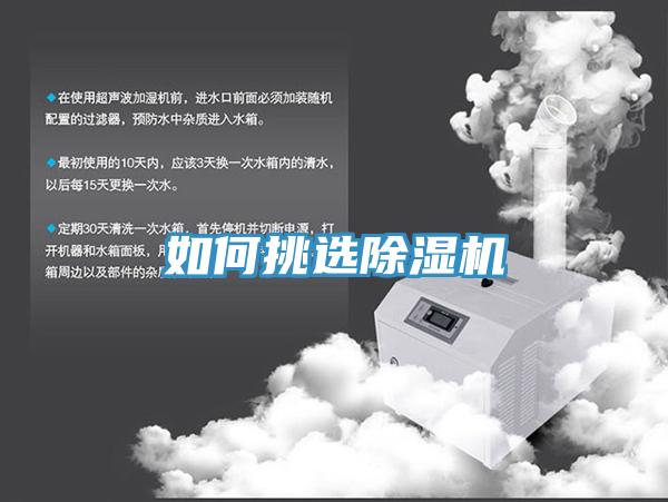 如何挑选除湿机