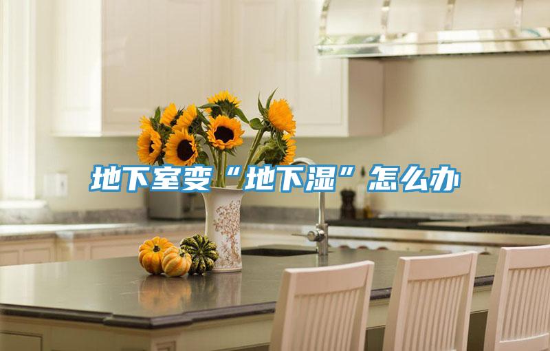 地下室变“地下湿”怎么办