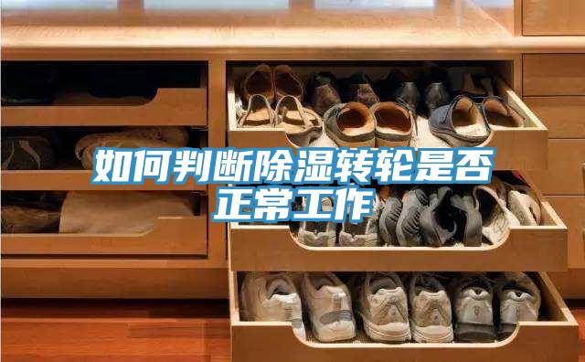 如何判断除湿转轮是否正常工作