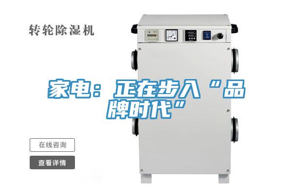 家电：正在步入“品牌时代”