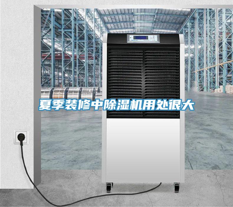 夏季装修中除湿机用处很大