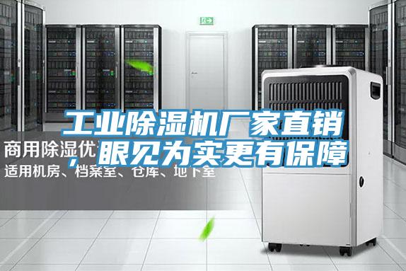 工业除湿机厂家直销，眼见为实更有保障