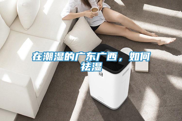 在潮湿的广东广西，如何祛湿
