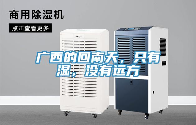 广西的回南天，只有湿，没有远方