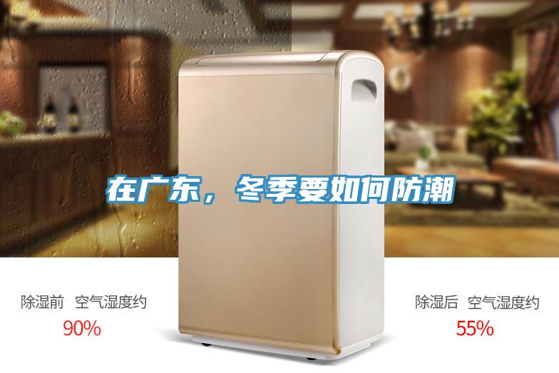 在广东，冬季要如何防潮