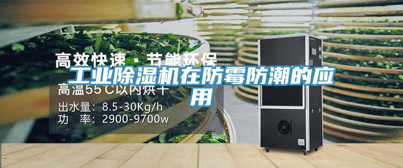 工业除湿机在防霉防潮的应用