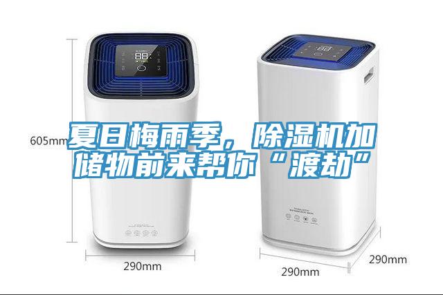 夏日梅雨季，除湿机加储物前来帮你“渡劫”