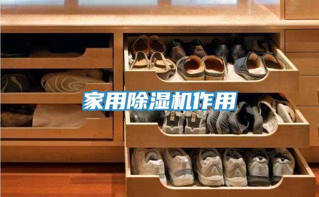 家用除湿机作用