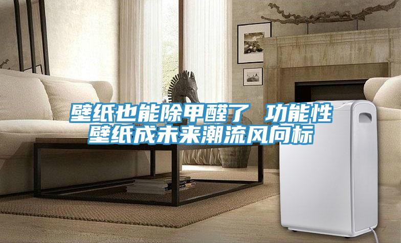 壁纸也能除甲醛了 功能性壁纸成未来潮流风向标