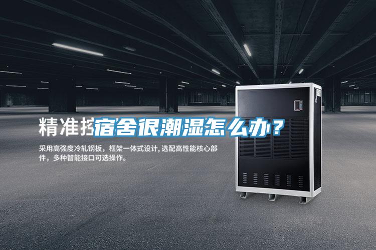 宿舍很潮湿怎么办？