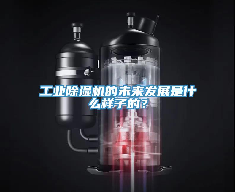 工业除湿机的未来发展是什么样子的？