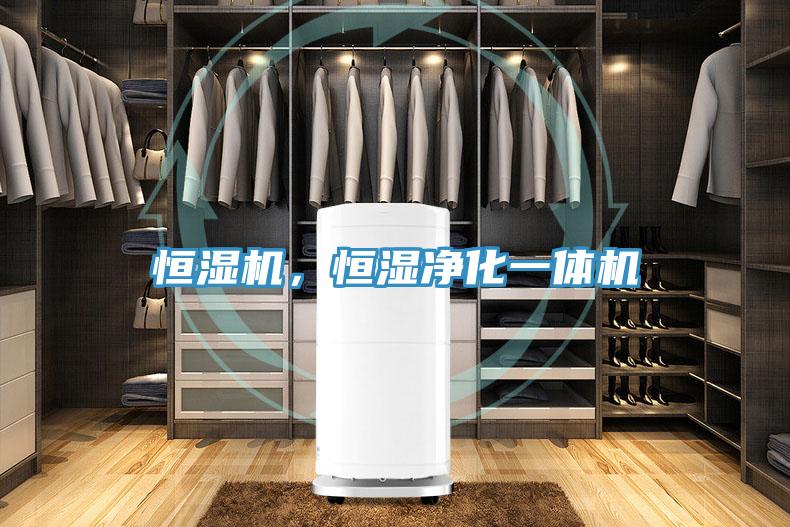 恒湿机，恒湿净化一体机