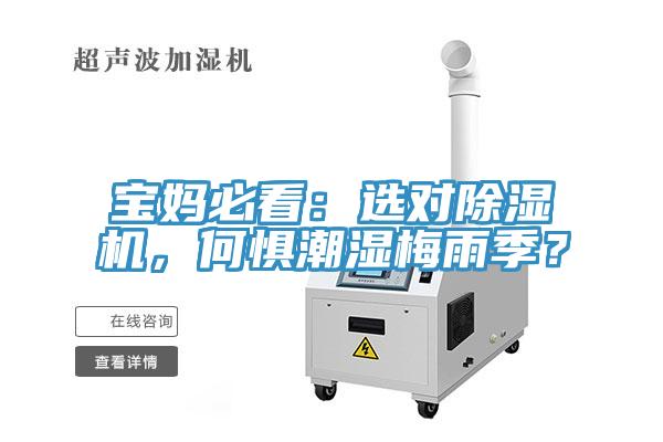 宝妈必看：选对除湿机，何惧潮湿梅雨季？