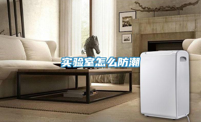 实验室怎么防潮