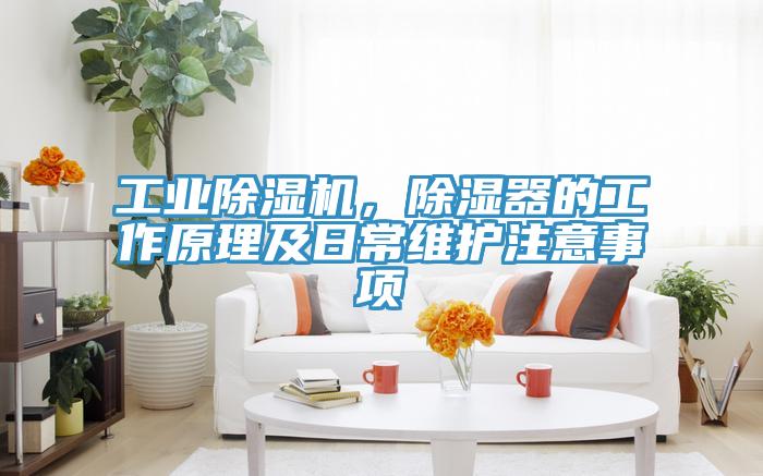工业除湿机，除湿器的工作原理及日常维护注意事项