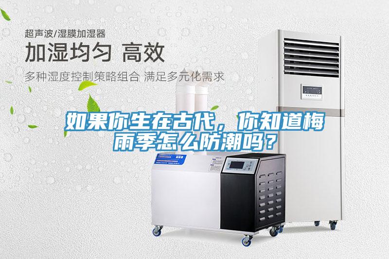 如果你生在古代，你知道梅雨季怎么防潮吗？