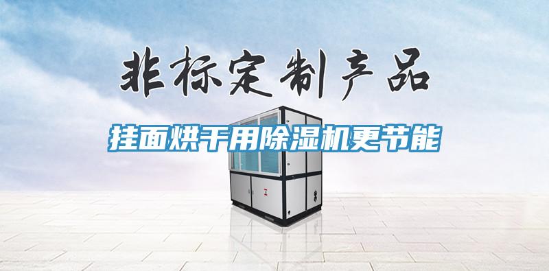 挂面烘干用除湿机更节能
