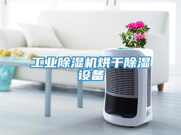 工业除湿机烘干除湿设备