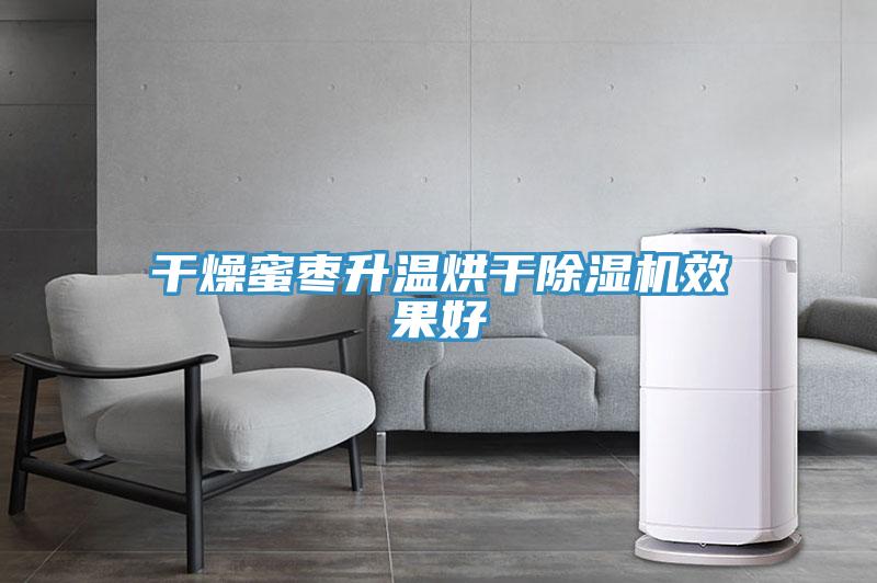 干燥蜜枣升温烘干除湿机效果好