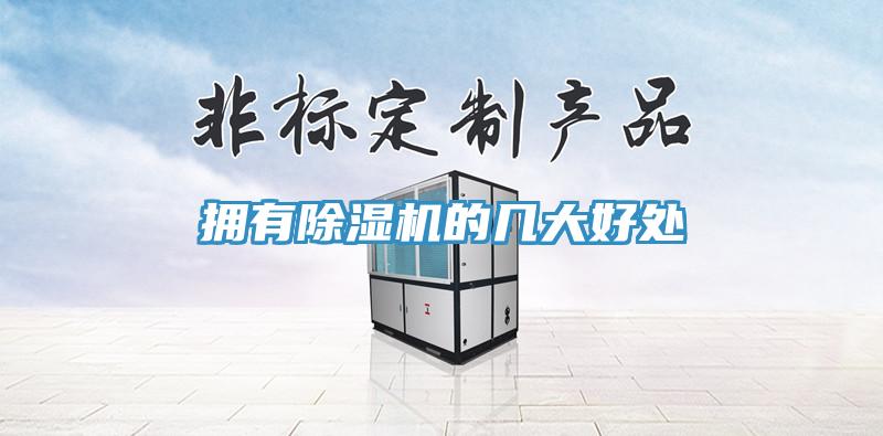拥有除湿机的几大好处