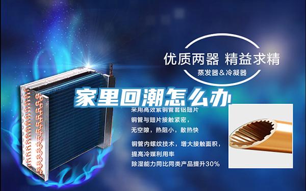 家里回潮怎么办