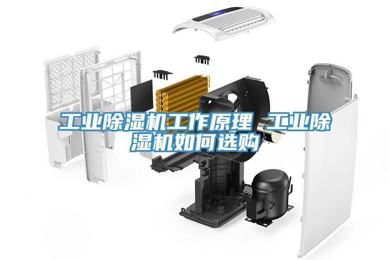 工业除湿机工作原理 工业除湿机如何选购