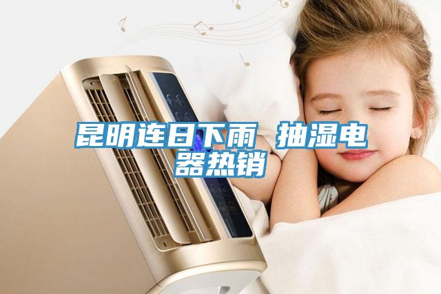 昆明连日下雨 抽湿电器热销