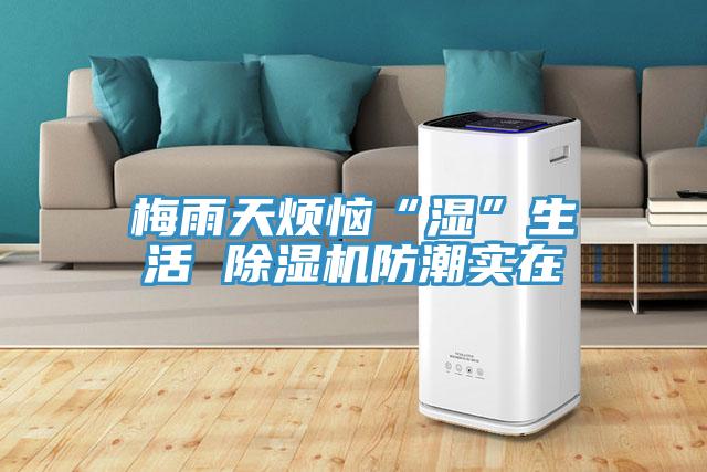 梅雨天烦恼“湿”生活 除湿机防潮实在