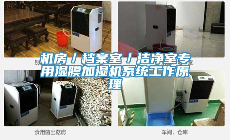 机房／档案室／洁净室专用湿膜加湿机系统工作原理