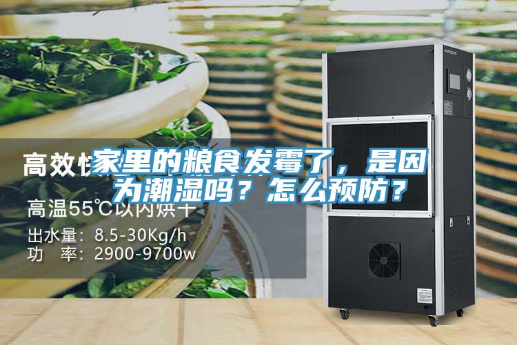 家里的粮食发霉了，是因为潮湿吗？怎么预防？