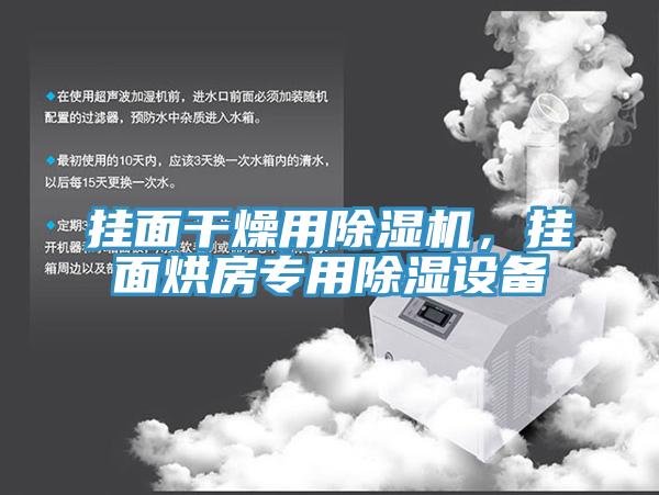挂面干燥用除湿机，挂面烘房专用除湿设备