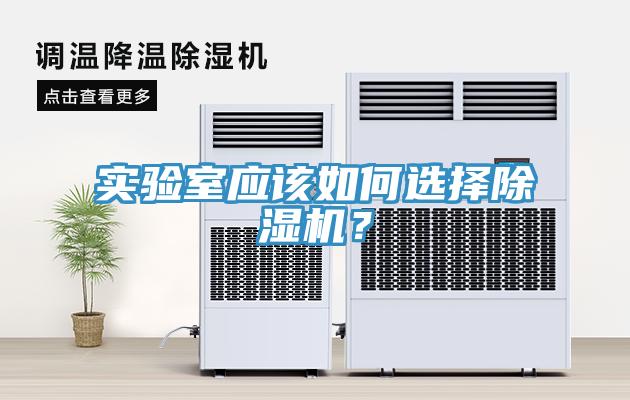 实验室应该如何选择除湿机？