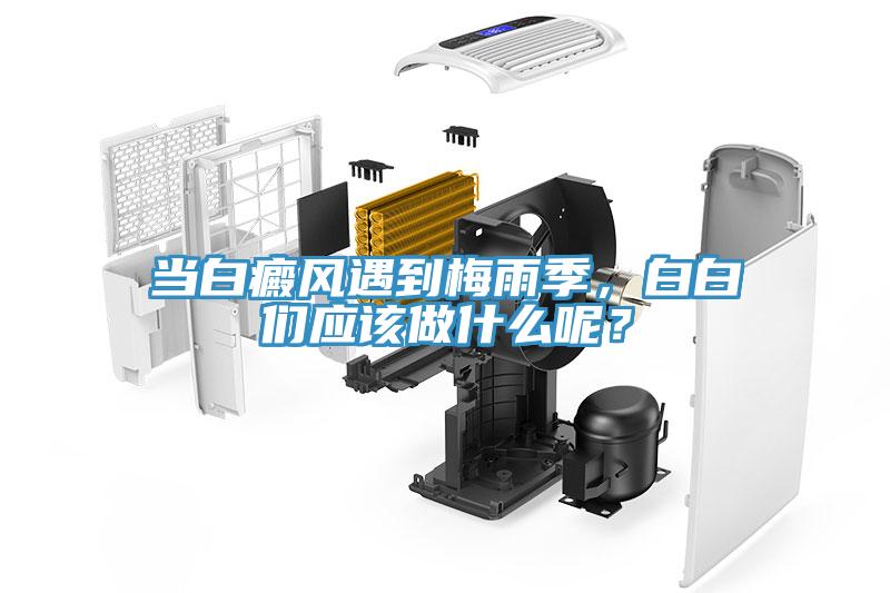 当白癜风遇到梅雨季，白白们应该做什么呢？