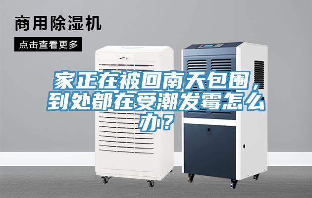 家正在被回南天包围，到处都在受潮发霉怎么办？