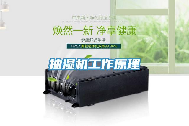 抽湿机工作原理