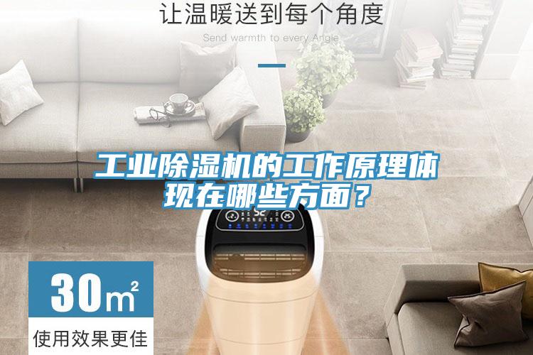 工业除湿机的工作原理体现在哪些方面？