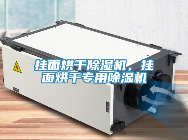 挂面烘干除湿机，挂面烘干专用除湿机