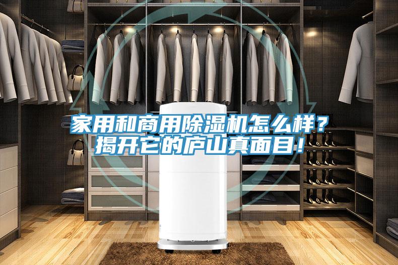 家用和商用除湿机怎么样？揭开它的庐山真面目！