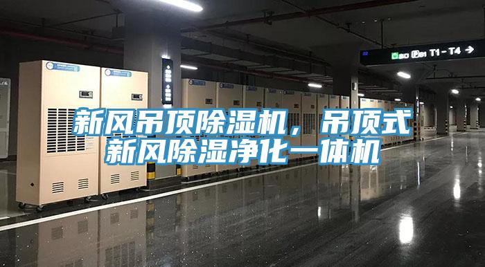 新风吊顶除湿机，吊顶式新风除湿净化一体机