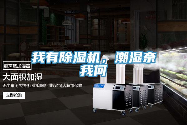 我有除湿机，潮湿奈我何