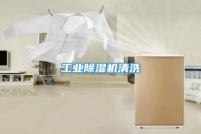 工业除湿机清洗