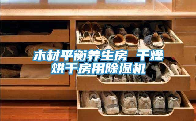木材平衡养生房 干燥烘干房用除湿机