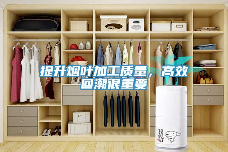 提升烟叶加工质量，高效回潮很重要