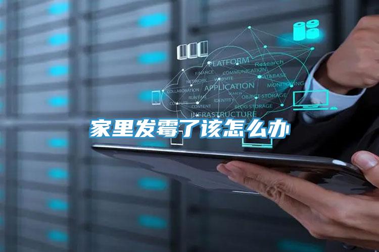 家里发霉了该怎么办