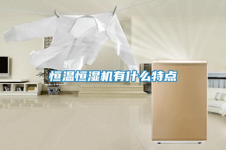 恒温恒湿机有什么特点