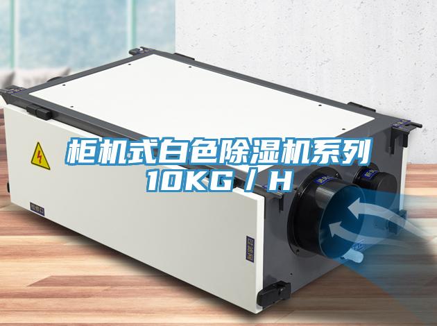 柜机式白色除湿机系列10KG／H