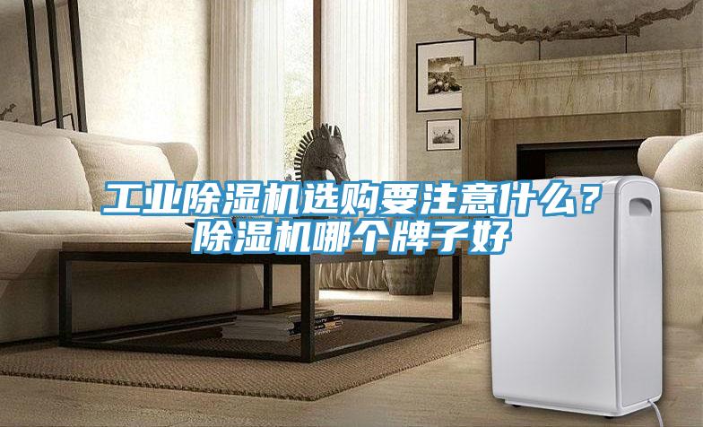 工业除湿机选购要注意什么？除湿机哪个牌子好