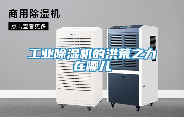 工业除湿机的洪荒之力在哪儿